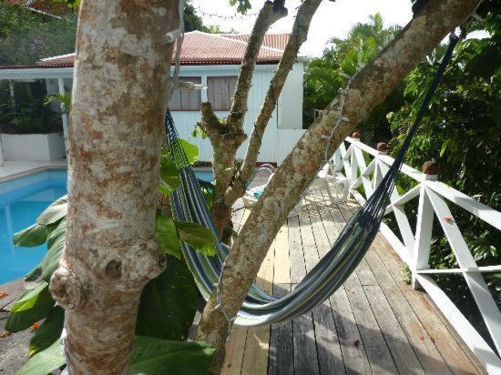 El Momo Cottages Windward Side Dış mekan fotoğraf
