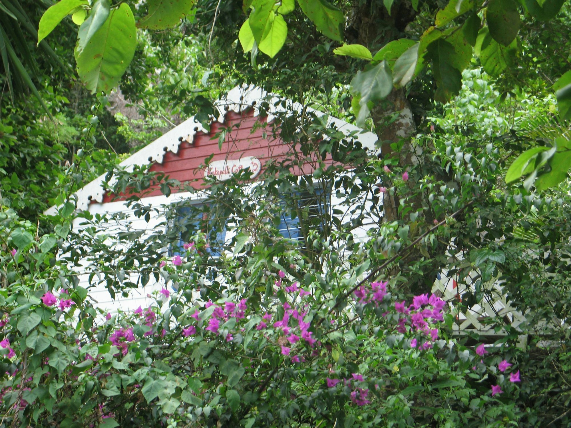 El Momo Cottages Windward Side Dış mekan fotoğraf